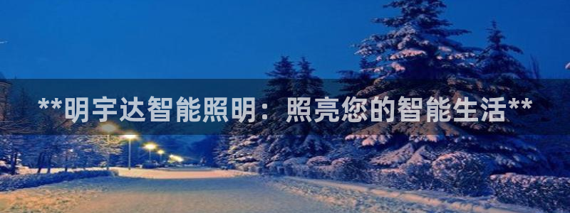 云顶集团有限公司简介资料