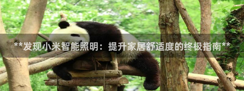 云顶国际服s9什么时候更新的