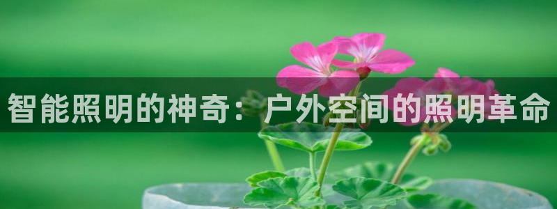 云顶最新