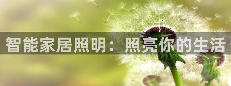 云顶国际ktv会所地址