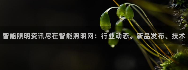 云顶集团林东简介