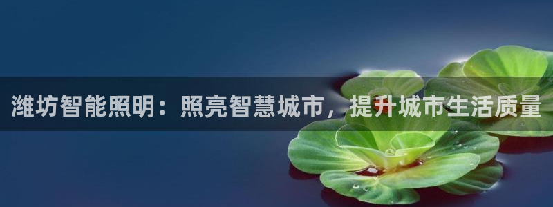 云顶国际app免费下载