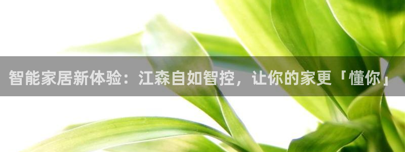 云顶国际物流官网
