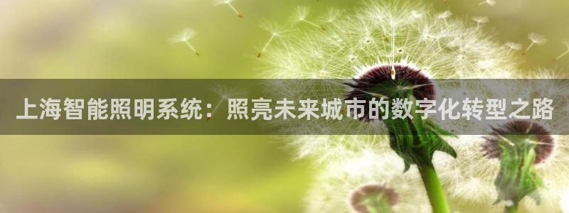 云顶国际测试服免费