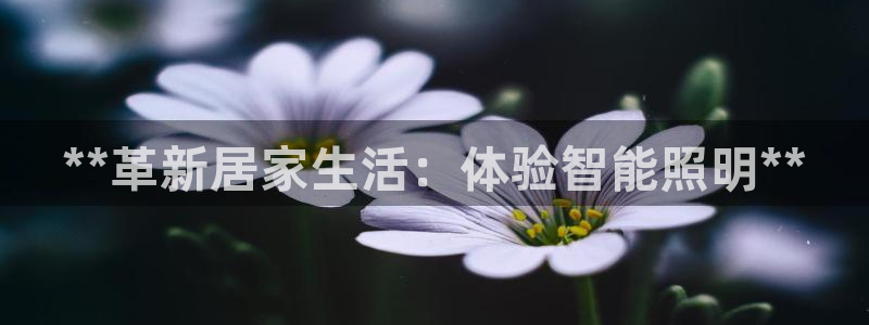 云顶集团专属APP