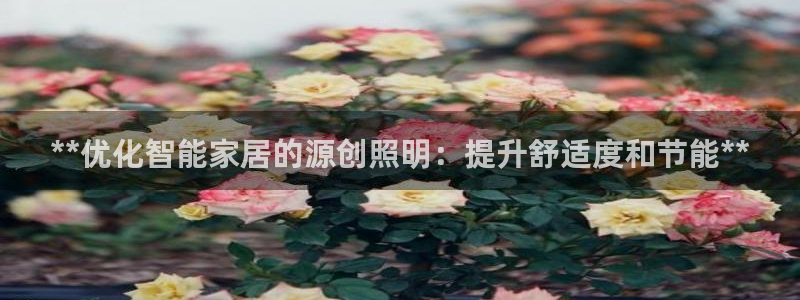 云顶国际服能用谷歌登录吗