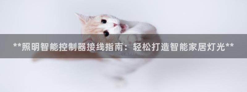 云顶s6国际服