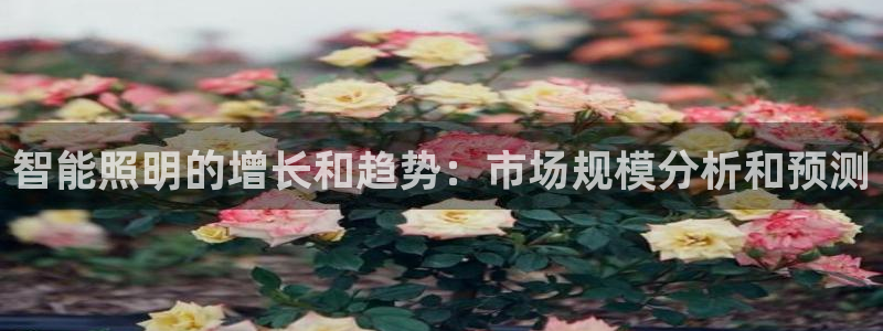 云顶国际是什么充值安全吗