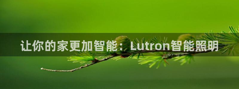 云顶国际集团游戏app