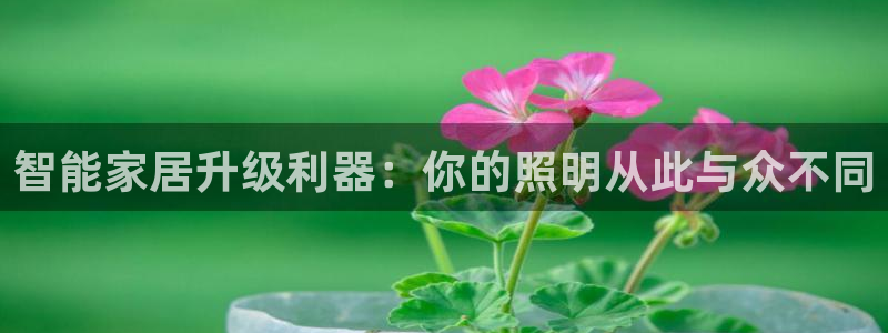 云顶国际软装公司怎么样