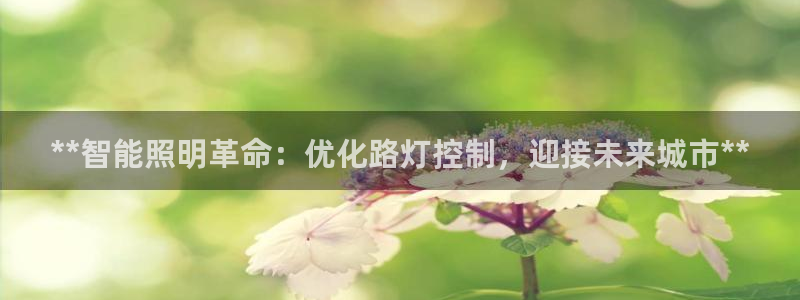 云顶国际服没有改名卡