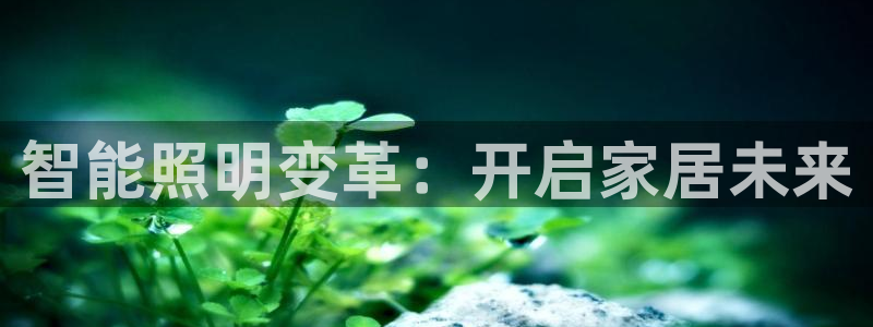 云顶国际服账号交易