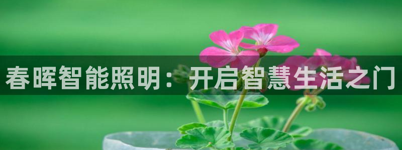 云顶国际服mac汉化