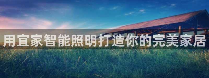 云顶集团网投领头