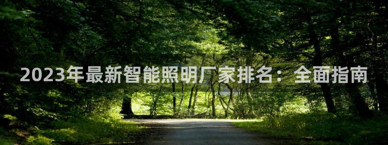 云顶国际测试服免费