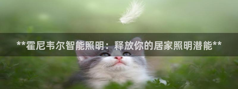 云顶集团林志华简介