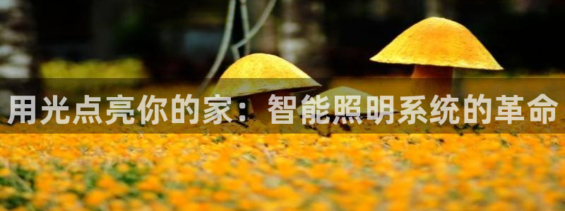 云顶国际酒店老板叫什么