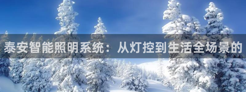 云顶国际培训中心