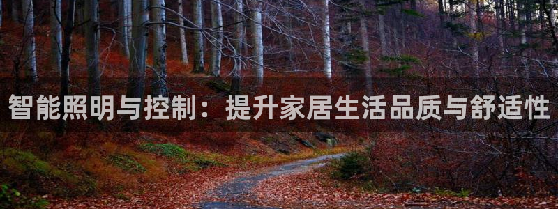 云顶集团网投领跑者：智能照明与控制：提升