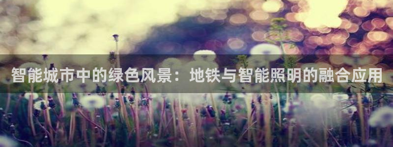 北大街云顶国际酒店在哪：智能城市中的绿色