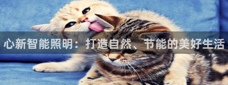 云顶国际旅行社官网